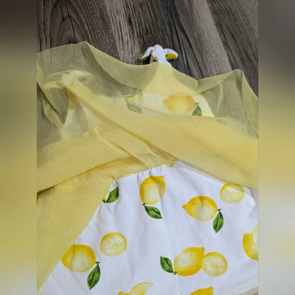 Rene Rofe Baby Girl Lemon 3-Piece Dress Set - Picture 4 of 4